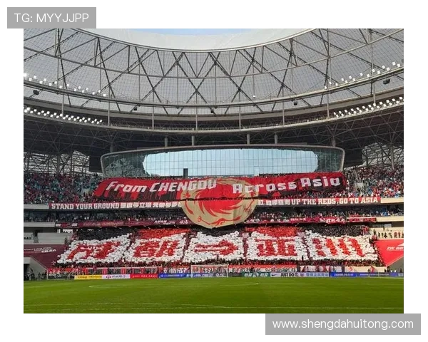 成都足球队意识表现的数据分析与战术研究探讨